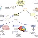 Come creare una mappa concettuale