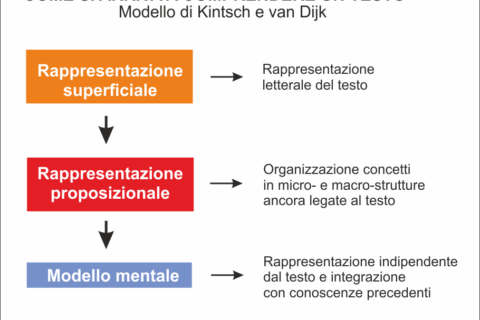 Come come avviene la comprensione di un testo?